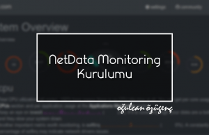 NetData Monitoring Kurulumu