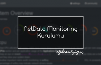 NetData Monitoring Kurulumu