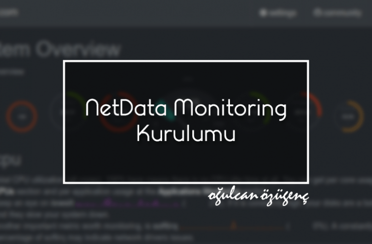 NetData Monitoring Kurulumu