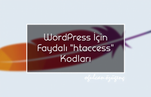 WordPress İçin Faydalı "htaccess" Kodları